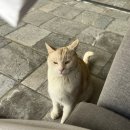 라떼떼 | 경기도 통창 유리 카페 라떼떼라 솔직후기