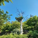 지선당한의원 이미지