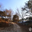 운악호스랜드 이미지