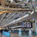 스테이 인터뷰 올레 | 타고 제주도 네 바퀴 | 천지연 폭포, 한라수목원, 이중섭미술관, 국립제주박물관, 동문시장, 올레시장 등