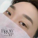 브로우와이피