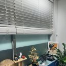 본 스킨 앤 바디