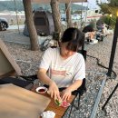 [내돈내산]서산 벌천포캠핑장 A구역 솔직후기🌳, 캠핑요리 추천까지