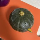 (주)우양 | [우양재단x어글리레시피] 얼렁뚱땅 어글리레시피 도전기