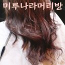 핑크머리방