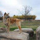 영구축산 이미지