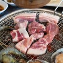 꿀꿀흑돼지
