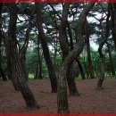 강남한의원 이미지