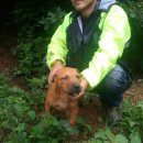 번암농장 이미지