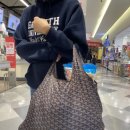 수지홀릭