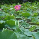 화개우체국 이미지