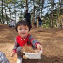 춘추 유아숲체험원 이미지