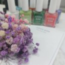 ANNA KIM 잉크젤 (f.잉크젤아트)