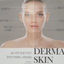 와이플래닝 이미지