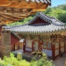 옥천사목조나한상 이미지
