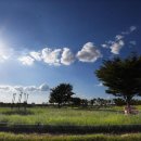 갯골생태공원 이미지