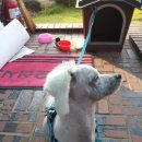 월드공업사 이미지