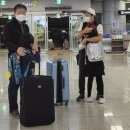 런던부산 내항기 후기 | 히드로 공항 우버 | 현대카드 해외 이용