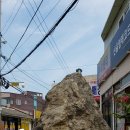 구룡포돌문식당 이미지