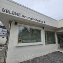 셀레네동물병원 이미지