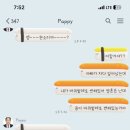씨엠캠프 이미지