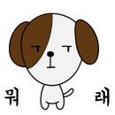 리얼스팀 이미지