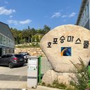 호포승마스쿨 이미지