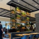 (주)조선호텔앤리조트 포포인츠 조선 명동 | 서울 웨딩홀 추천 호텔 스몰웨딩 포포인츠 명동 하객 후기:) 조선호텔 식사 최고