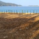 남해조경농원 이미지