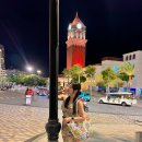 뉴힐튼파크 이미지