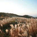 경주목장 이미지