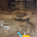 서초대로46길 19-12 이미지