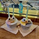 [젤라또민구] 홍대 디저트 맛집! 서울 순위권에 드는 수제 젤라또 내돈내산 솔직후기