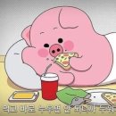 호명산잣나무숲캠핑장 네이버블로그
