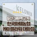 일산 대화역근처 한국화훼농협 케이플라워 본점 하나로플라워마트 방문후기