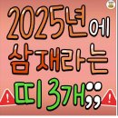 2025년에 삼재라는 띠 이미지