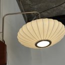 라임이즈 이미지