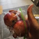 마포-현장-마포-133 | 액자레일 설치 비용 아파트 무타공