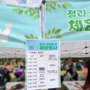 [도담이] 2024년 청라 생태환경 체험행사 (with 인천환경공단 청라사업소)