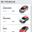 솔라리드 이미지