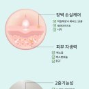 자생약국 이미지