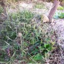 정례농장 이미지