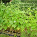 연못이 있는 집 이미지