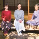 일일시호일 이미지