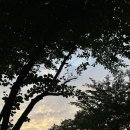 삼각지건강타운 이미지