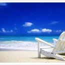 자라는나무 이미지