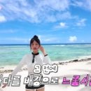아이브래쉬 네이버블로그