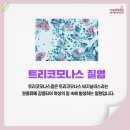 메디엘라산부인과의원 이미지