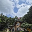 여우골옻닭 이미지