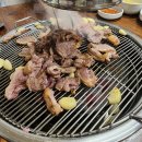 현지네 농원 이미지